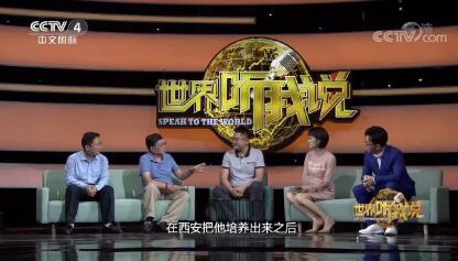 【世界听我说】金年会棋牌教研室主任李…
