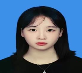 图示, 示意图
中度可信度描述已自动生成:ver1